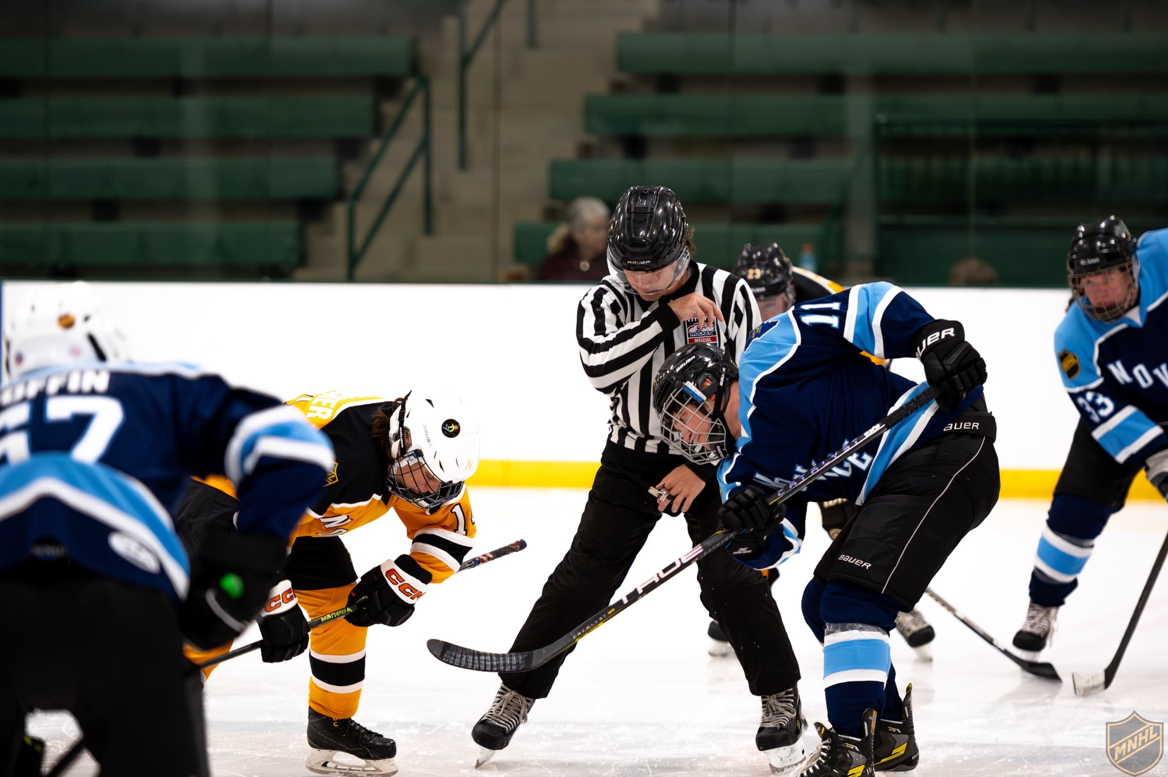 A referee dropping the puck between a Gold Rush and a Blue Bears player at a face-off, wingers leaning in on both sides